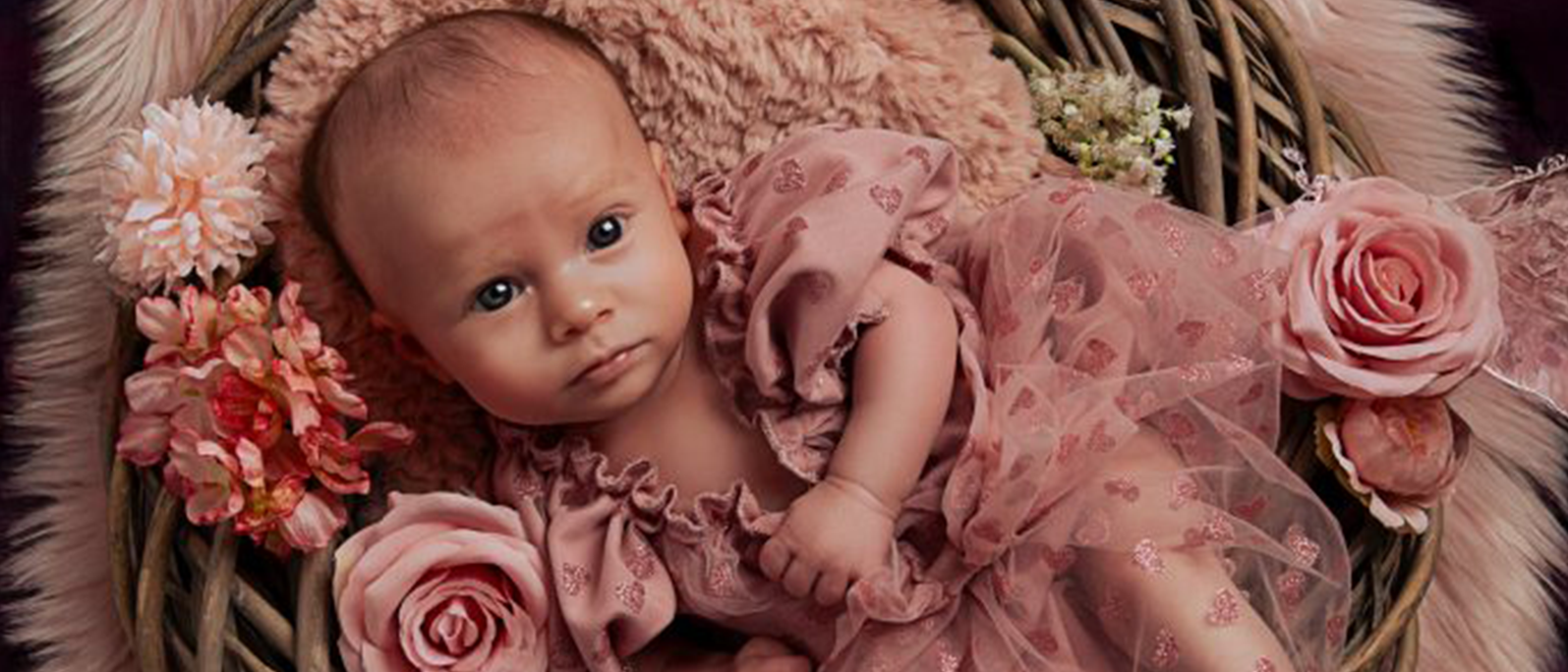 CoconDiapo_Naissance2